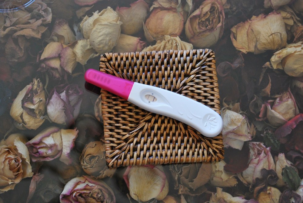 alexandra nursery 021.JPG