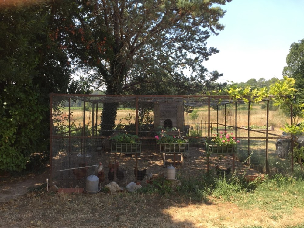 DIA4 LE BARGIDOU_9398_1024