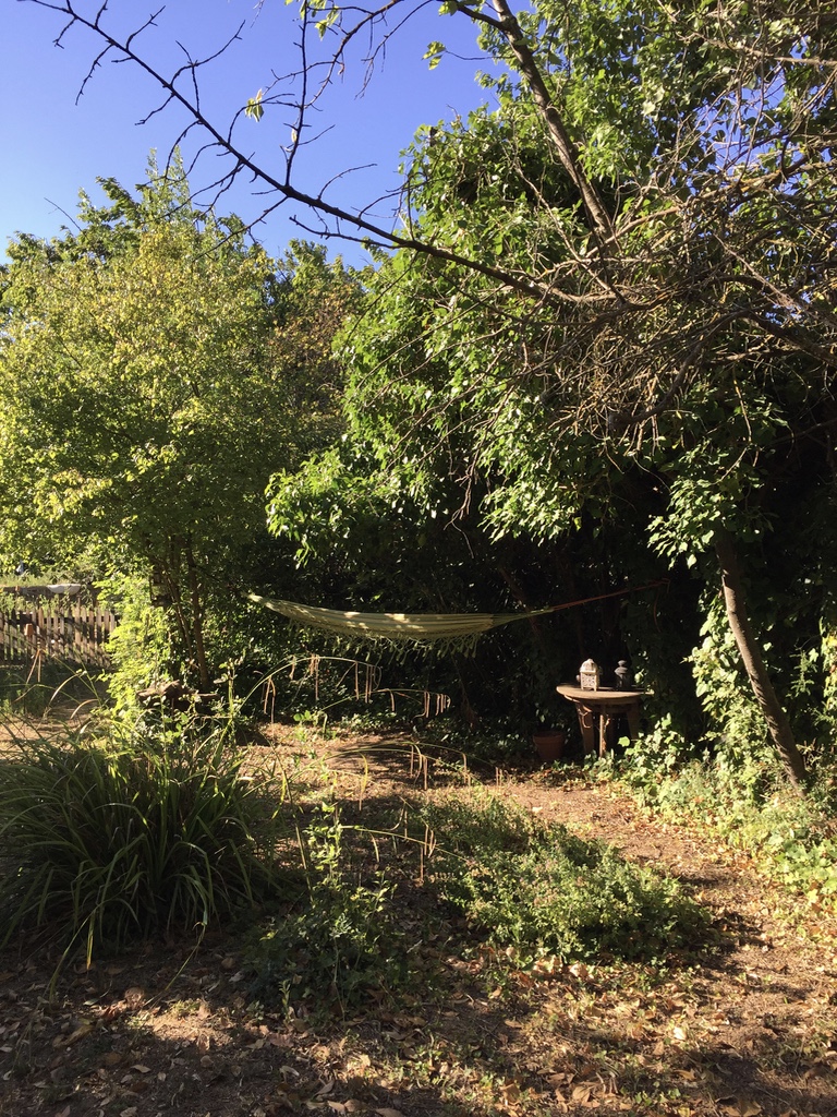 DIA4 LE BARGIDOU_9616_1024